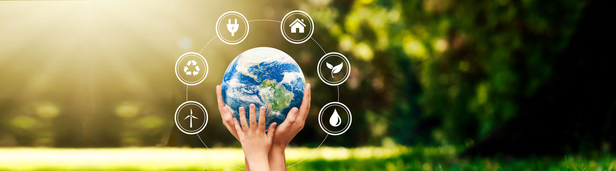 Our Commitment to Sustainability